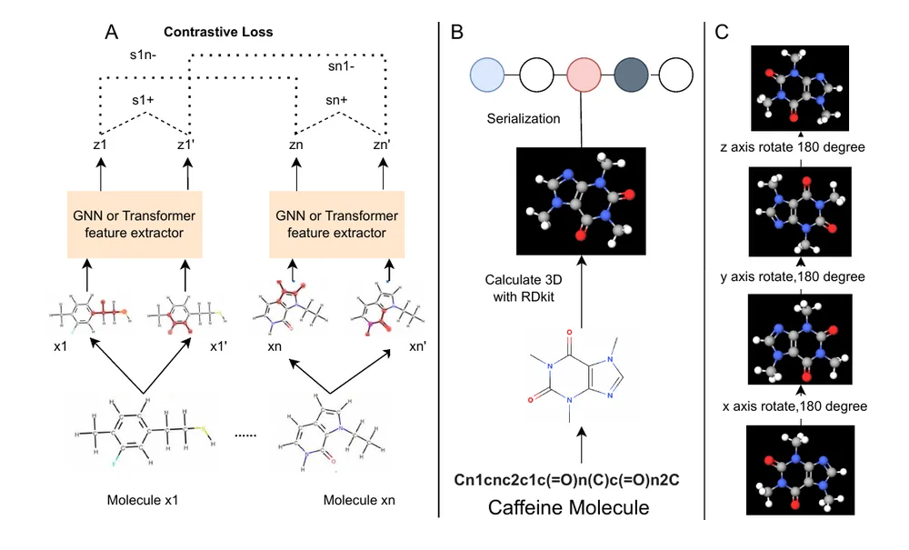 Diagram of molecular contrastive learning and 3D rotations