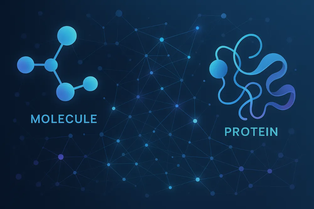 Abstract molecule-protein interaction network